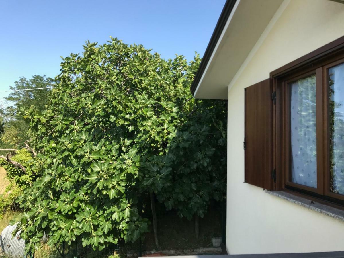 La Casa Di Nonna Bruna Múggia Exterior foto